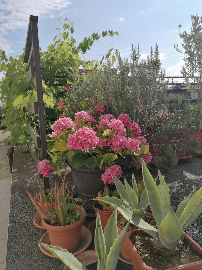 Lavanda Apartment *